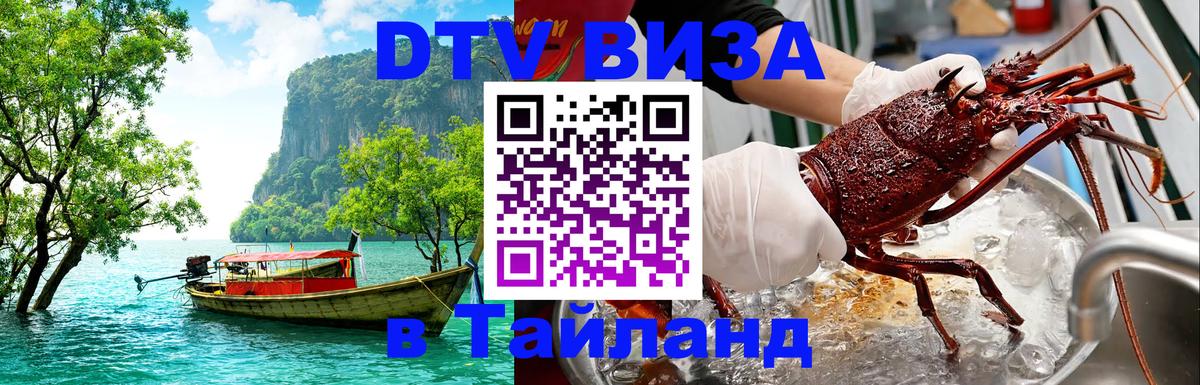 Оформить DTV визу в Тайланд Димитровград 